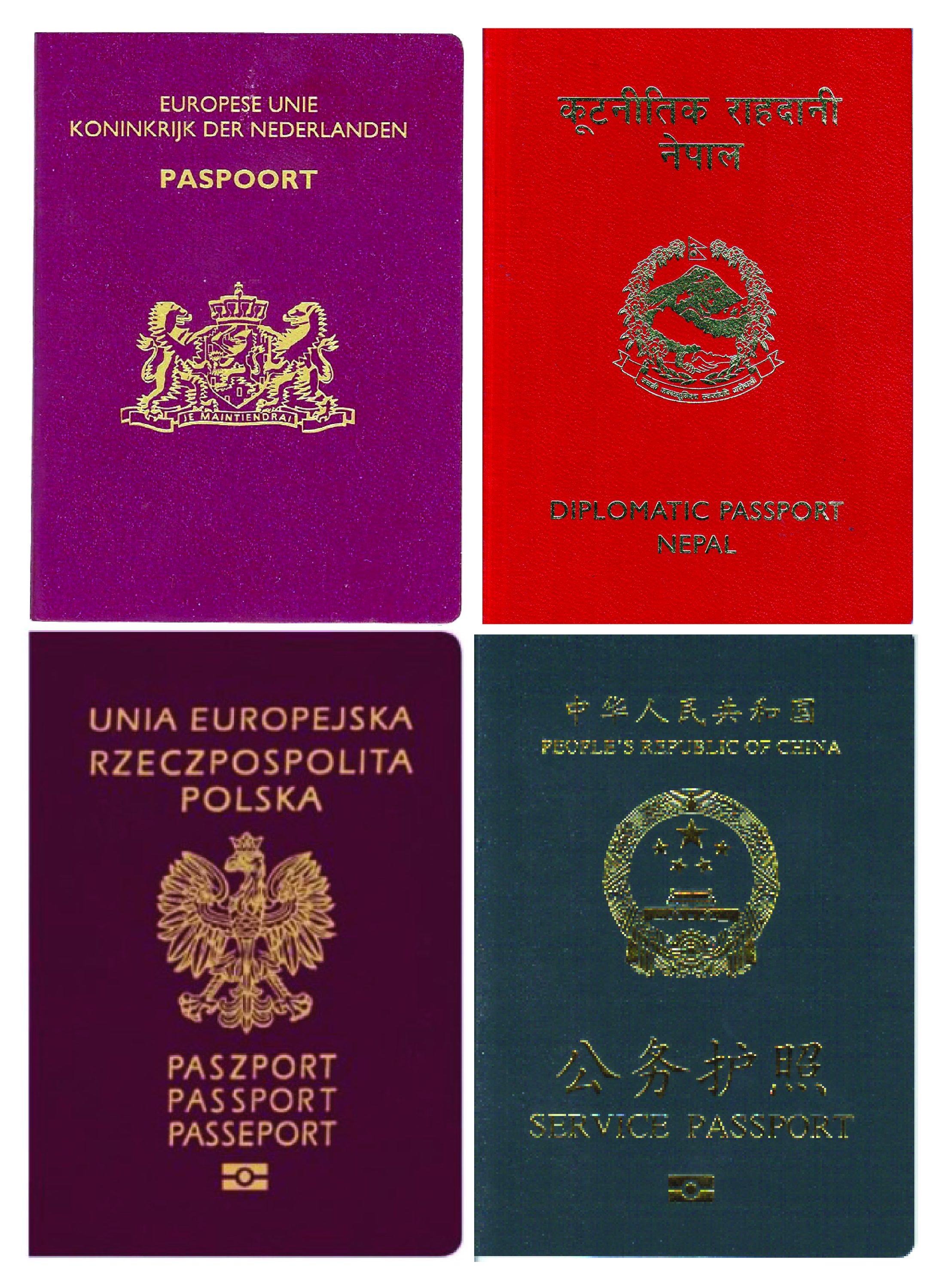 POC or NICOP: the citizenship difference behind two NADRA cards