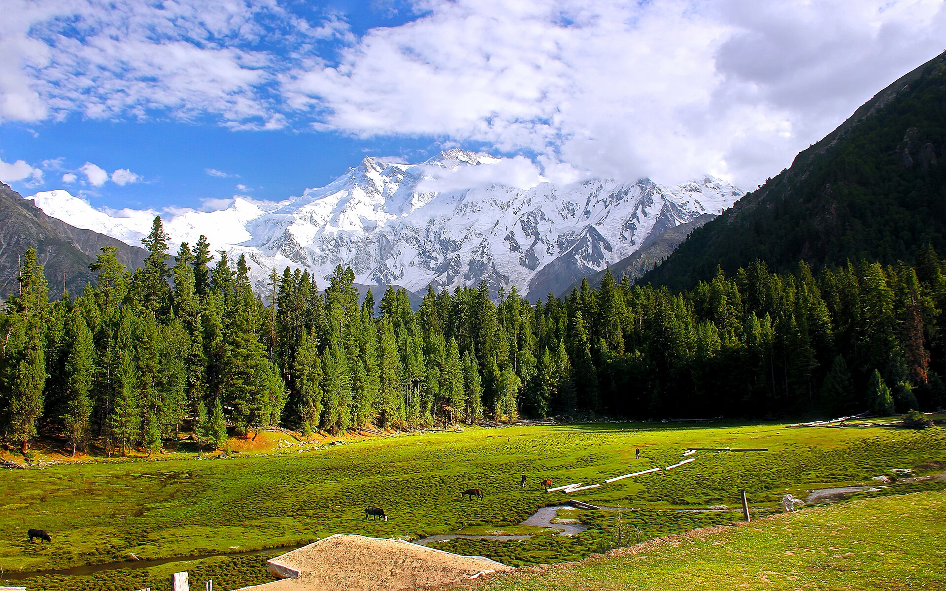 Fairy Meadows without the costume
